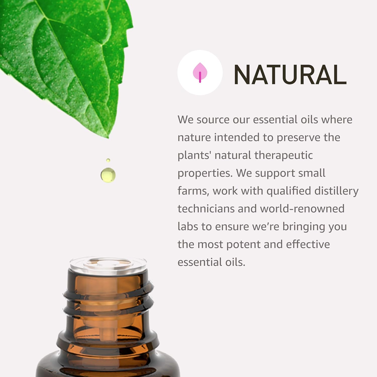 Rocky Mountain Oils Aligning Essential Oil Blend 15 ml - 100% Pure Essential Oils in a Base of Fractionated Coconut Oil