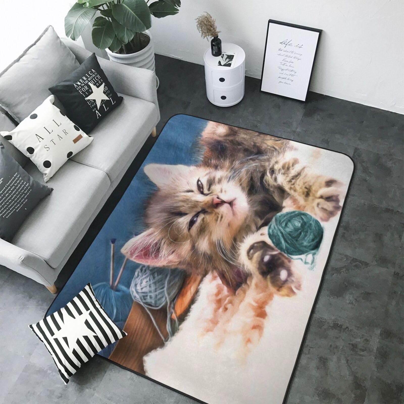 Tapis d'intérieur doux chat lavable en machine pour salon moderne