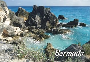 Horseshoe Bay Beach, Bermuda, Island, Ocean, Rocks, Souvenir Magnet 2 x 3 Fridge Photo Magnet