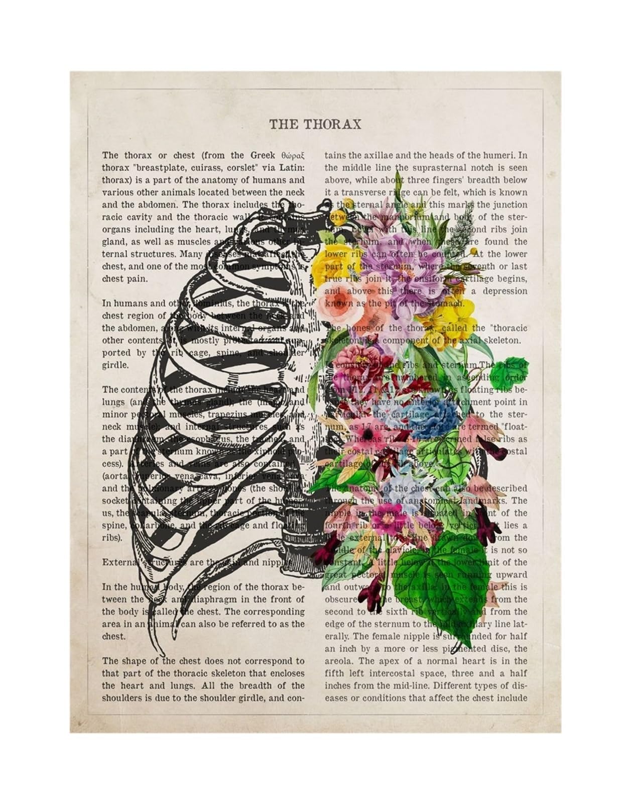 1 Szt. Części Ludzkiego Ciała Kwiat Artystyczny Anatomia Plakaty Drukuj Psychologia Neurolog Lekarz Medyczny Obraz Na Płótnie Klinika Home Decor Prezent | 12,40X60cm Unframed