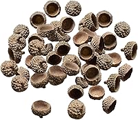 Vista 4 de SM SunniMix 100 tapas de bellotas naturales auténticas rústicas de bellotas decorativas para el hogar, bricolaje, Acción de Gracias, Navidad