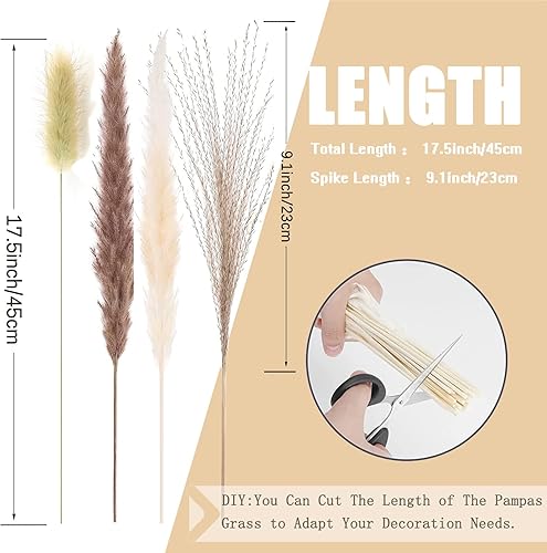 Miniatura 10 de Hierba de las Pampas Boho Decoración para el Hogar, 150 piezas de 17 pulgadas de flores secas naturales, hierba de pampa contiene colas de conejo,