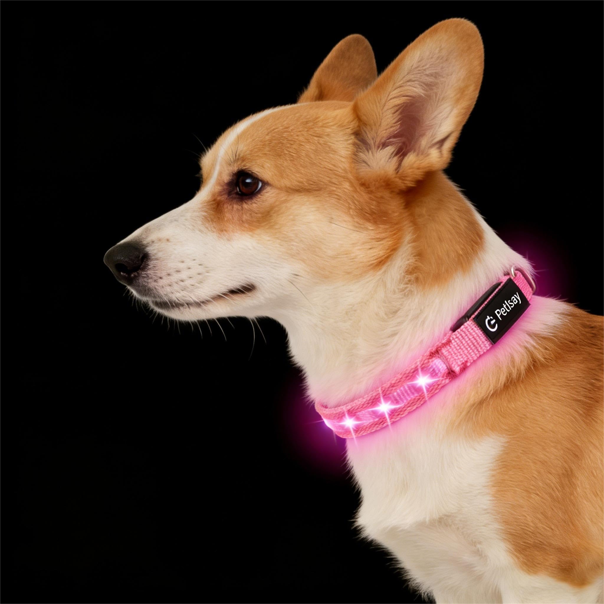 PetIsay LED Collar XS
