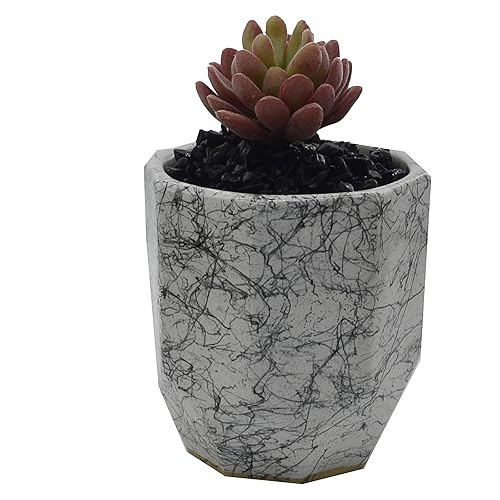 Miniatura 4 de Piedras naturales negras para uso en interiores y exteriores, pecera de acuario y decoración de jardín, rocas de paisajismo, bolsa de 2.5 libras con