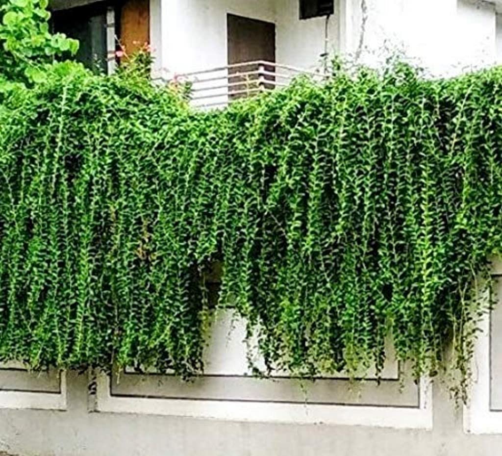 artificial indoor plants Artificial Indoor Plant Set in Planter, Realistic Faux Greenery Decor –  allseasonshousedecor.com main image 1