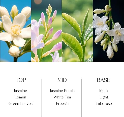 Miniatura 4 de Clesh Difusor de caña Jazmín