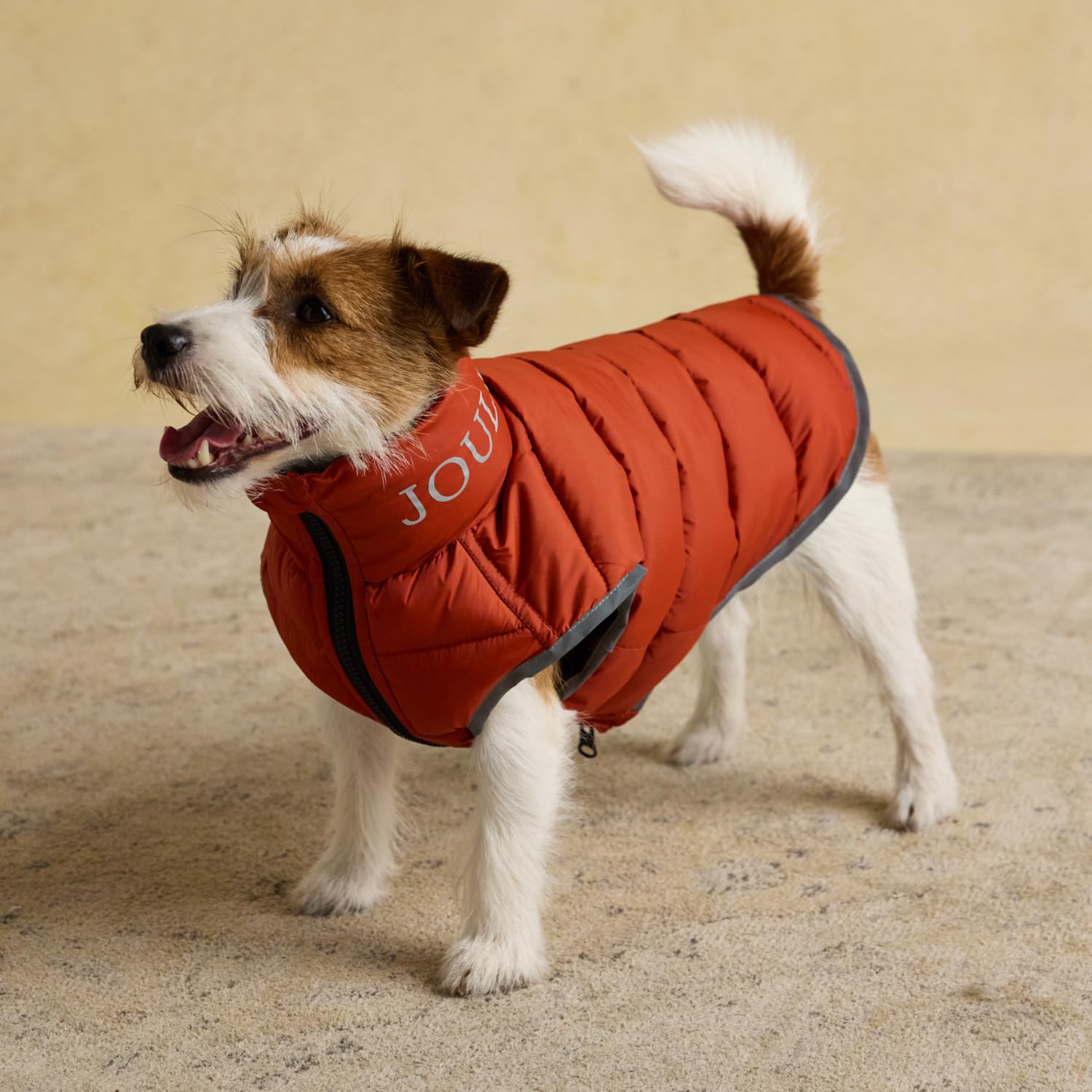 Manteau pour chien contre le froid Rosewood x Joules veste réversible imperméable taille S