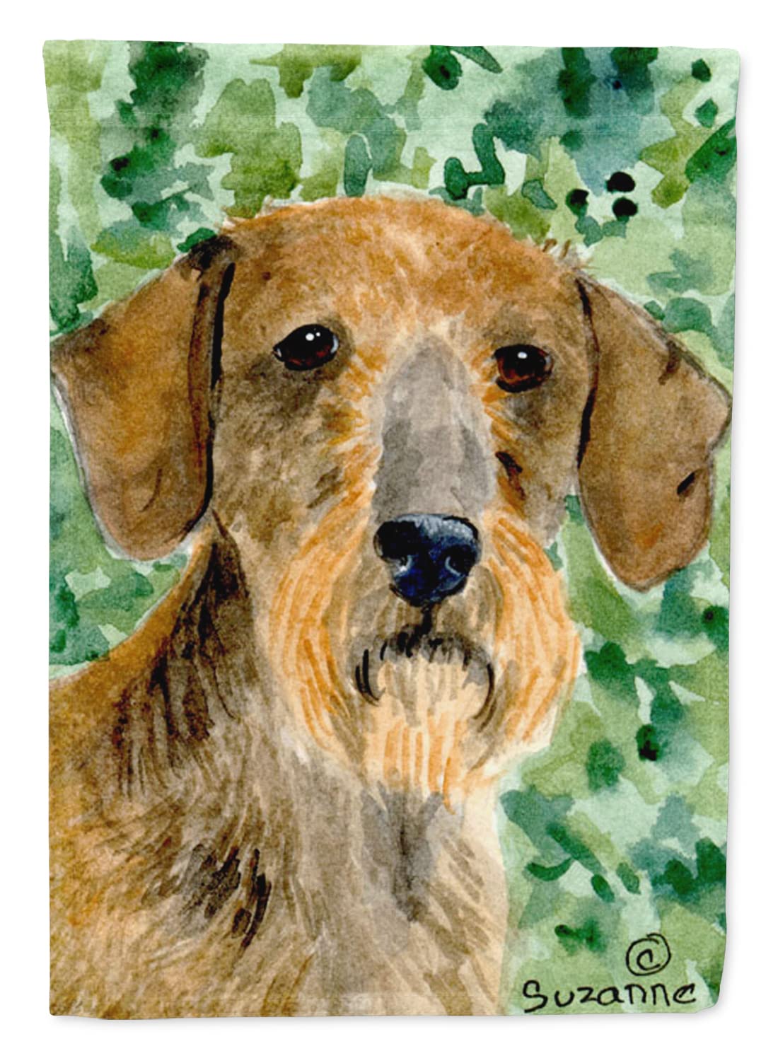 Dachshund flag canvas house size grand format multicolore Caroline's Treasures SS8806CHF