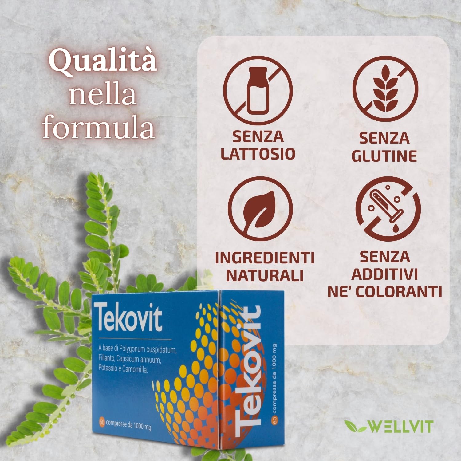 TEKOVIT Spaccapietra - Integratore Naturale con Fillanto Spaccapietra, Resveratrolo, Potassio e Camomilla, Benessere Renale e Vie Urinarie, Formula Completa - Made in Italy (60 Cps) – Wellvit