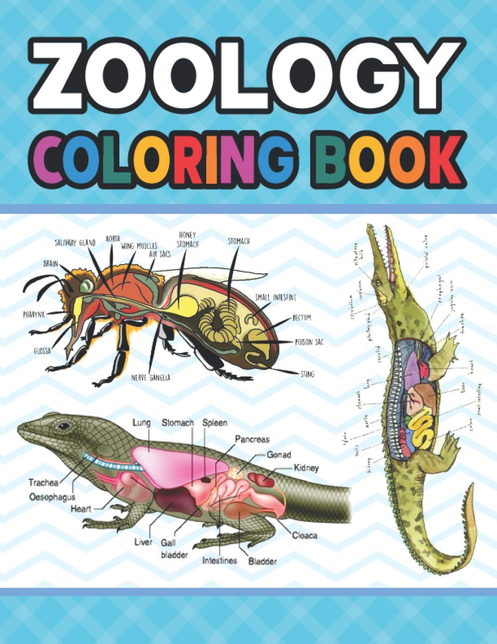 Zoology Coloring Book: Learn The Zoology & Enhance Your Practice. The New Surprising Magnificent Learning Structure For Zoology Students. Dog Cat ... book. Vet tech & Zoology Coloring Books.