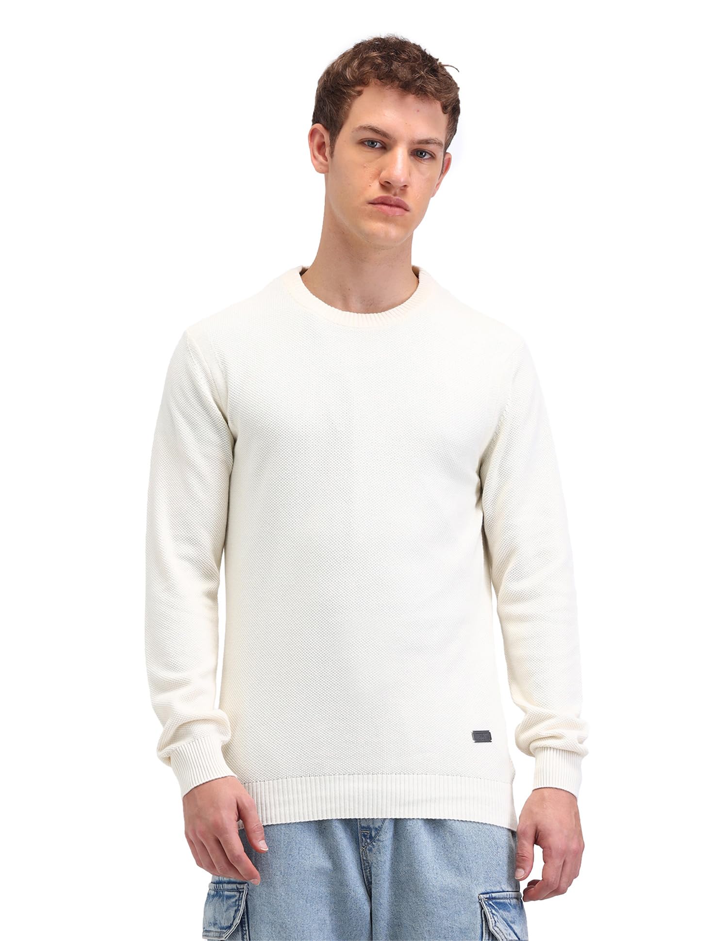 flying machine Men's Regular Fit Sweater| Patterned Weave-picture-37
