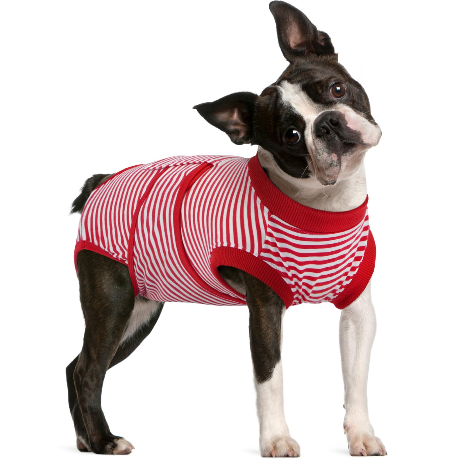 FUAMEY Dog Recovery Suit Male,Dogs Surgery Neuter Suits Puppy Spay Shirts for Female Protect Dog's Skin Anti Licking Abdominal Wounds Doggie Onesie