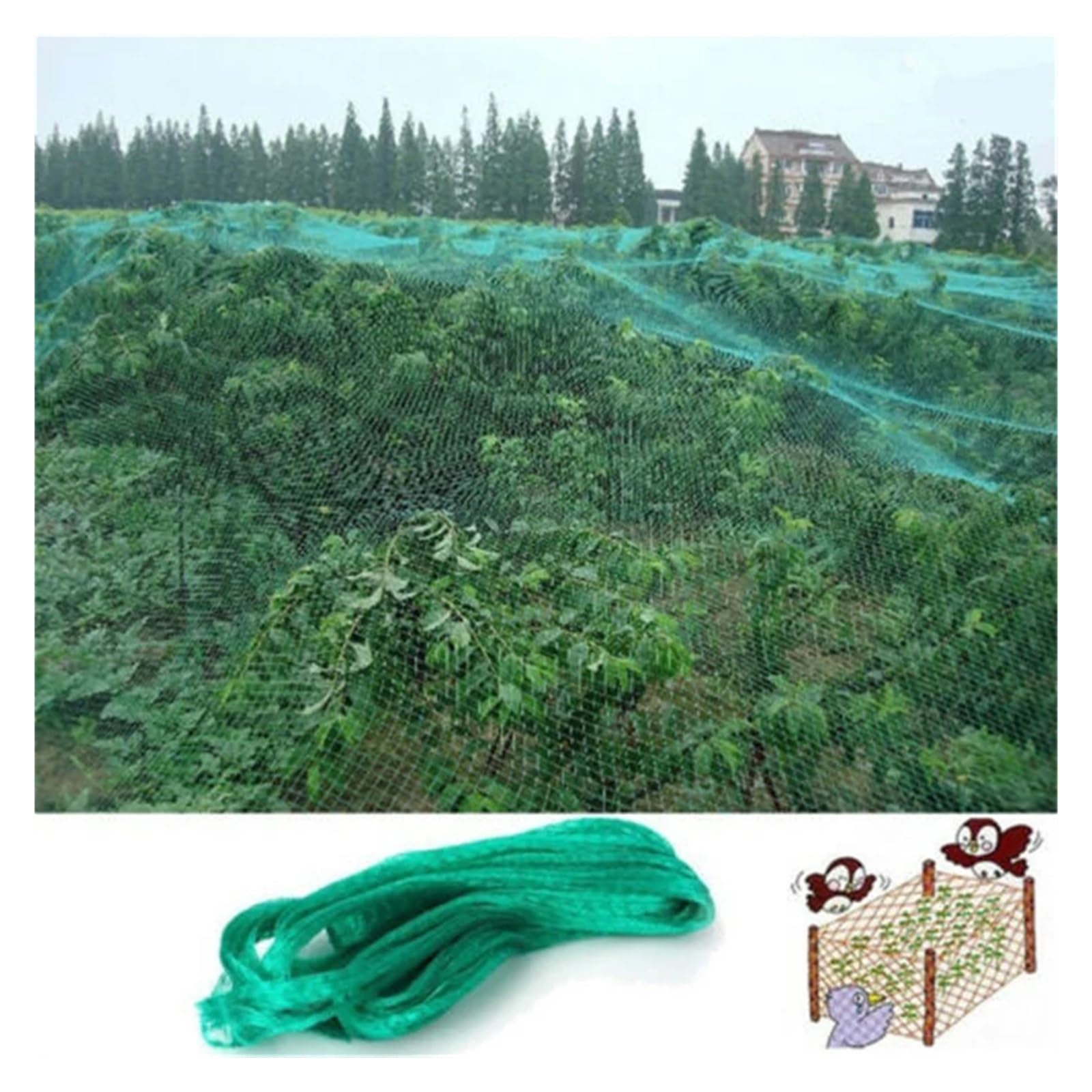 Filet de jardin en maille verte pour protéger les plantes, les fruits, les fleurs, les arbres, filet de clôture extensible pour éloigner les cerfs et les animaux (2 x 10 m)
