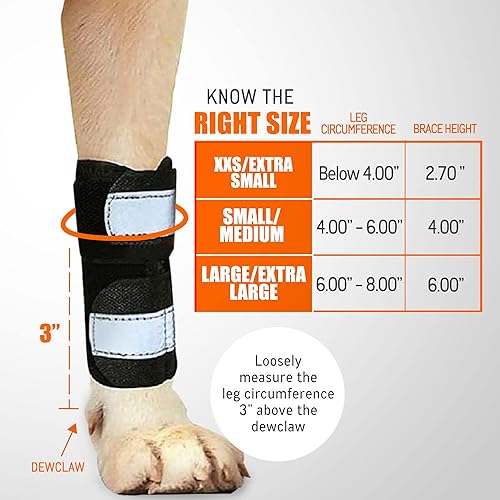 Miniatura 4 de NeoAlly - Soporte de pierna delantera para perros y gatos, soporte de pierna de perro con inserciones de resorte de metal, manga de pierna de perro