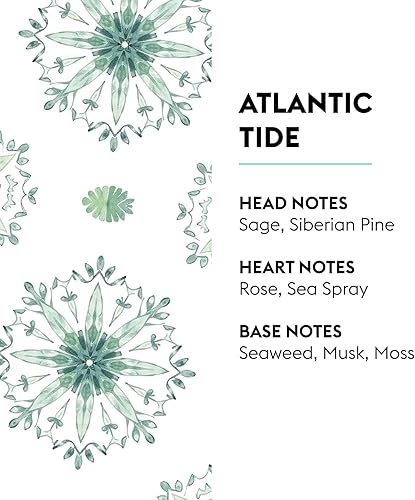 Miniatura 2 de MAISON BERGER Repuesto de fragancia Lampe Berger para difusor de aceite de fragancia del hogar - 16.9 onzas líquidas 500 mililitros