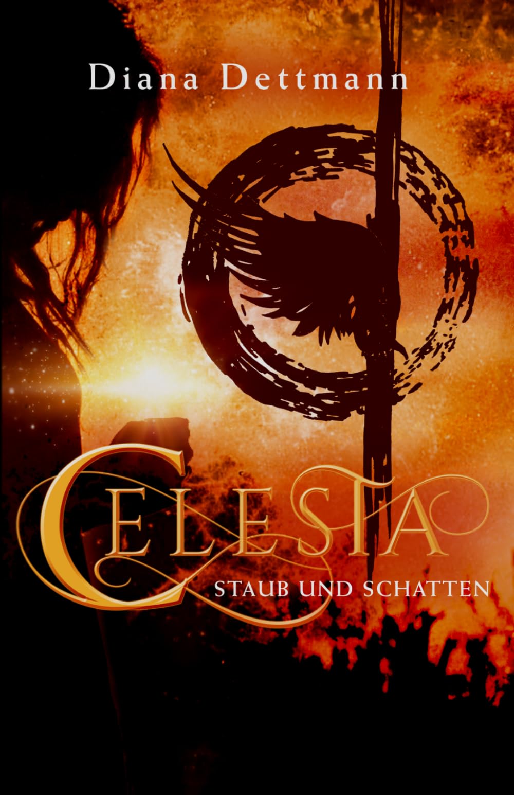 CELESTA: Staub & Schatten