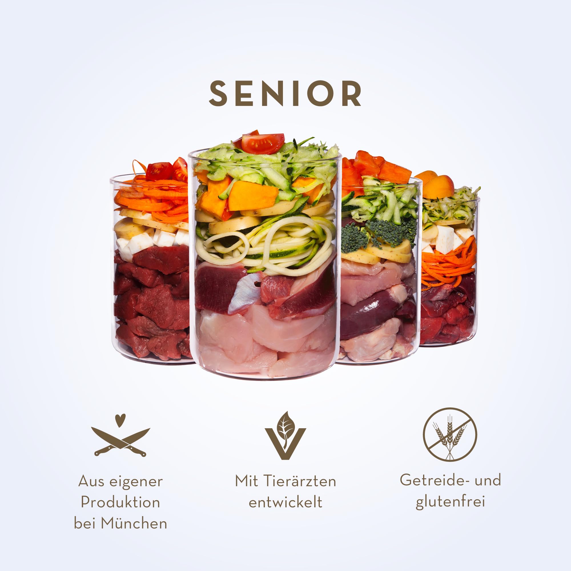 Terra Canis Pavo con Papaya, Comida húmeda Senior para Perros, 12x800g | 100% calidad alimentaria de todas las materias primas, con hierbas medicinales, receta senior, bajo en alérgenos y cereales