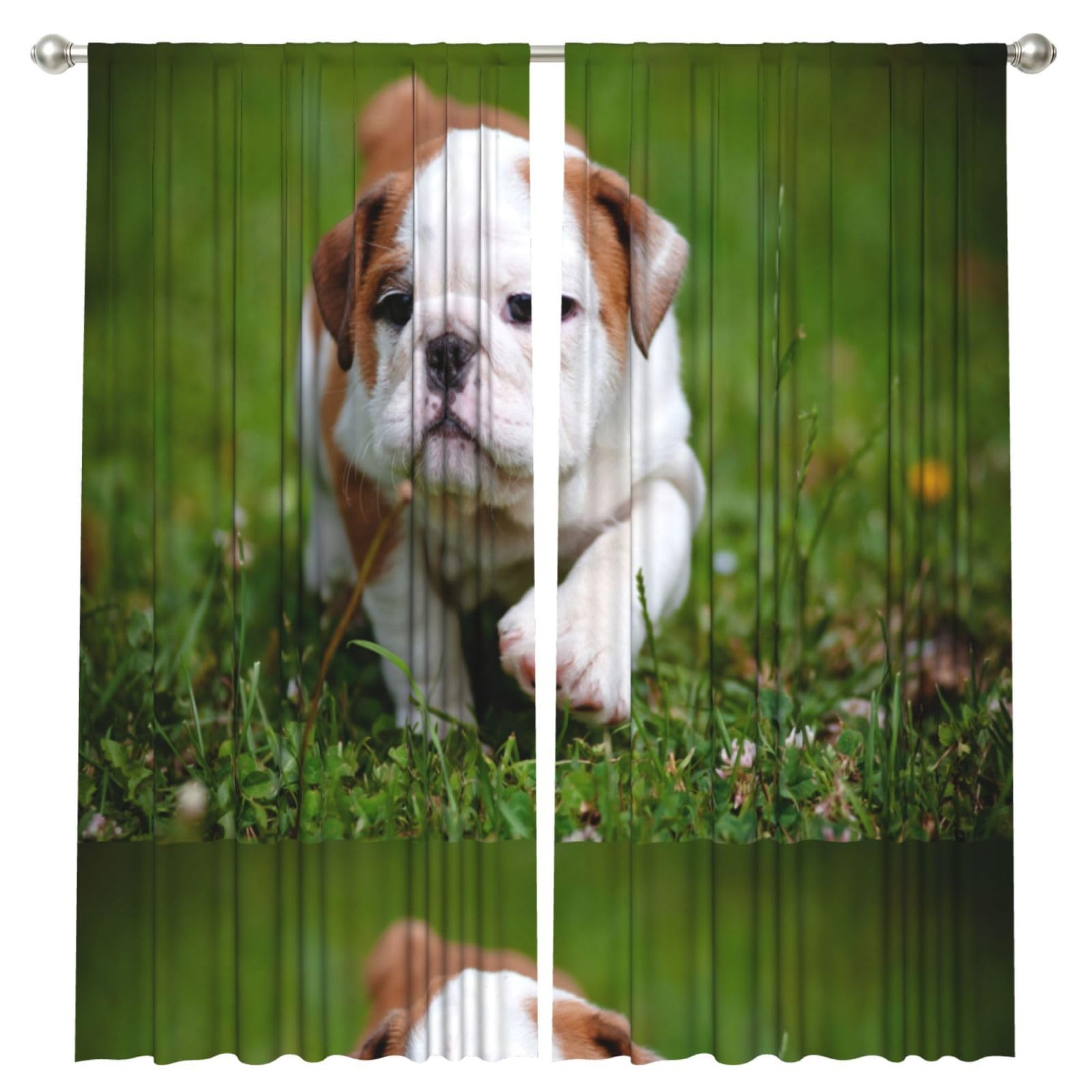 InOmak Cute Bulldog Puppy, 2 Panels Window Curtains 52 x 84 Inch Blackout Curtains for Living Room Bedroom