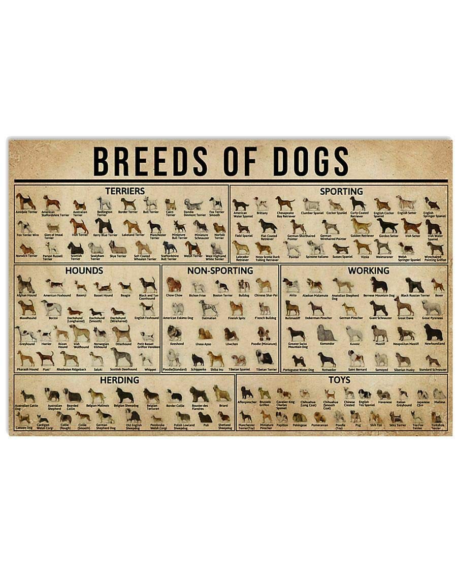 TNND All Kind Breeds Of Dogs Poster Detail Of Every Dog Great Gift For Your Buds Art Wall Decor Home Decor Father's Day Birthday Gift Metal Signs 12X16 inch