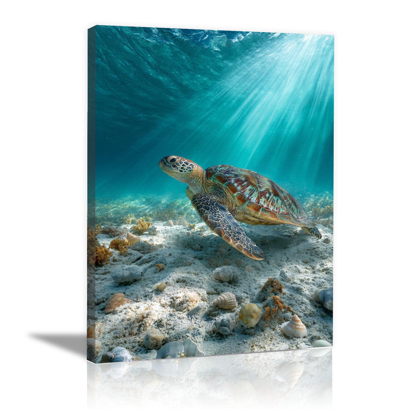 TERUEA Animal Bathroom Print Animal Sunlight Seabed Ocean Canvas Wall Art Bathing Animals Humor Abstract Prints,(Turquoise)-40x60cm Framed