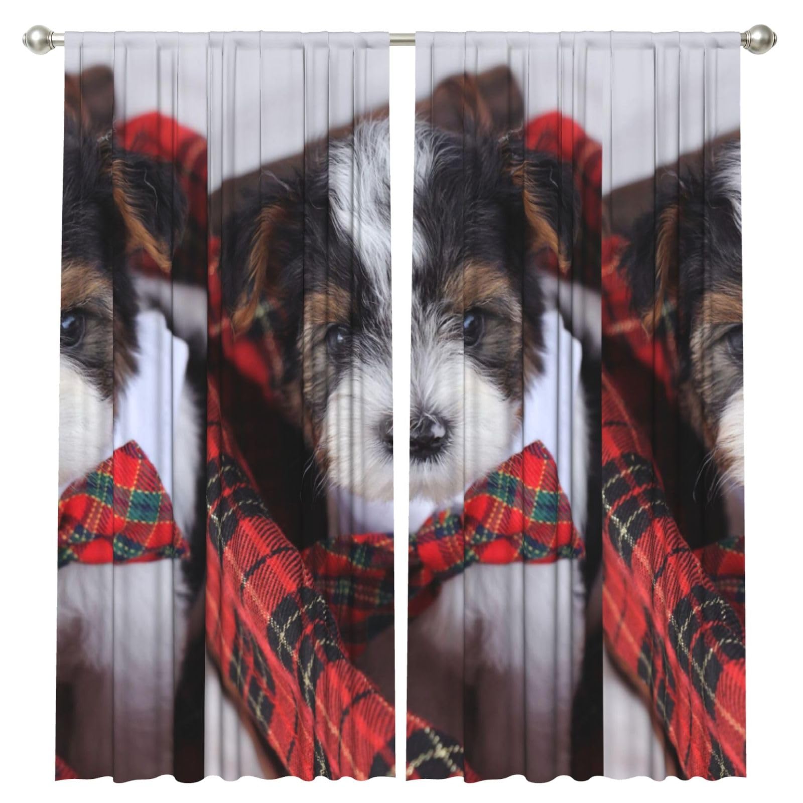InOmak Biewer Terrier Puppies, 2 Panels Window Curtains 52 x 84 Inch Blackout Curtains for Living Room Bedroom