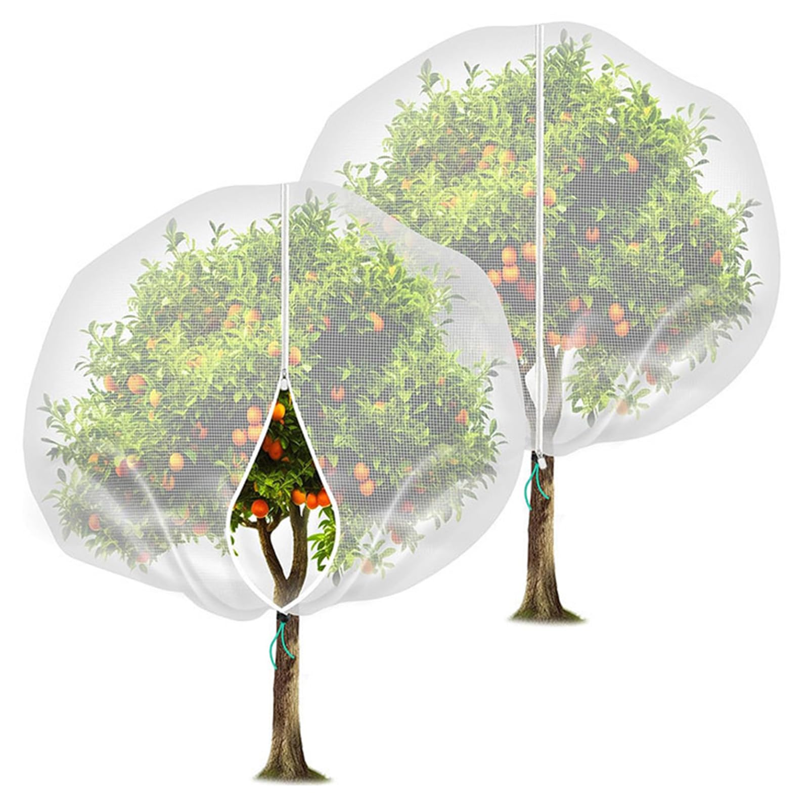 Set 2 Rete Anti Insetti Piante con Cerniera E Coulisse – Sacco Protezione 60 Mesh per Limoni, Pomodori E Alberi da Frutto – Barriera Traspirante Contro Cimice Asiatica, Cavolaia