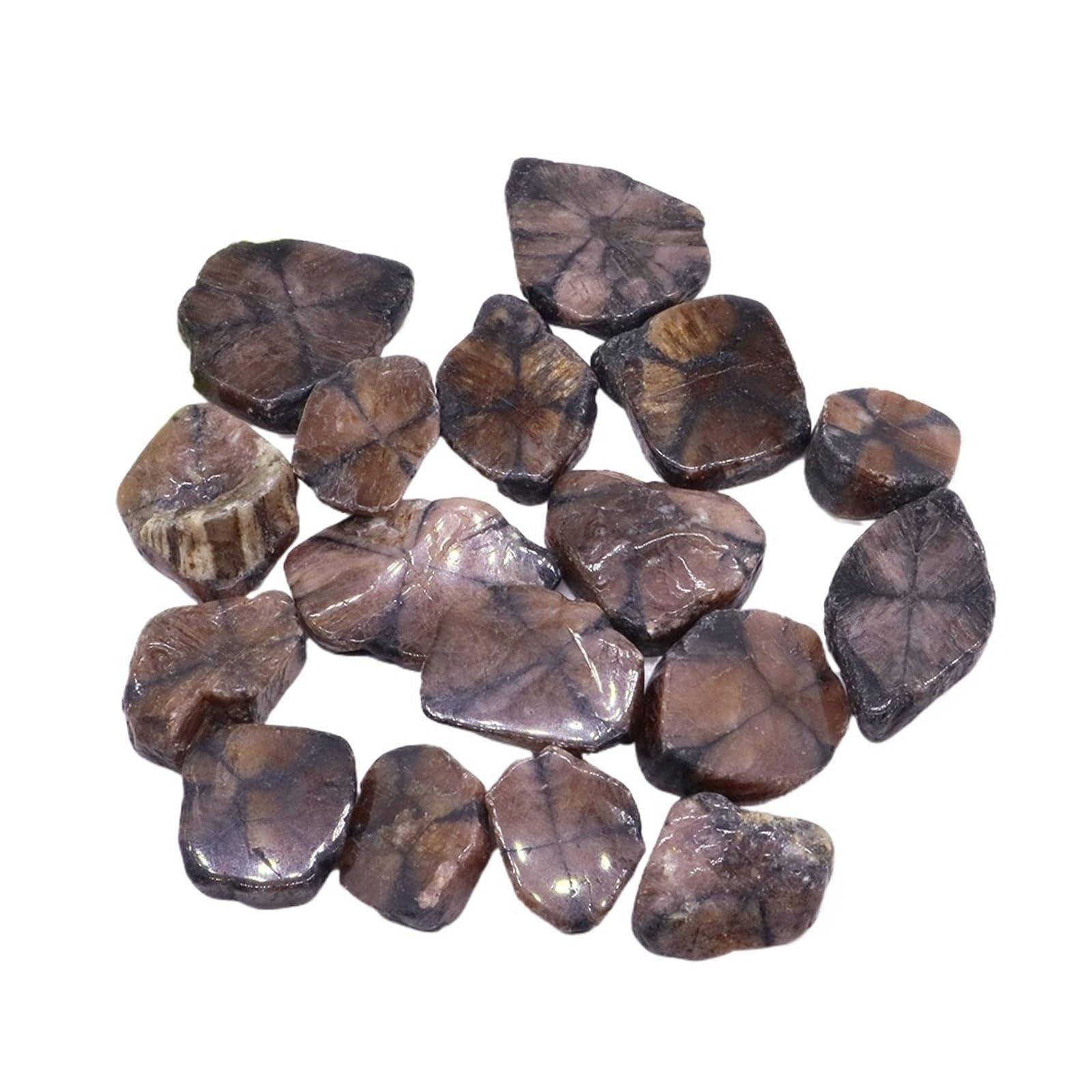 Piedras de Grava para peceras, Piedras De Grava for Acuario Y Jardín Multicolor Varios Tamaños(Color 10,200g)