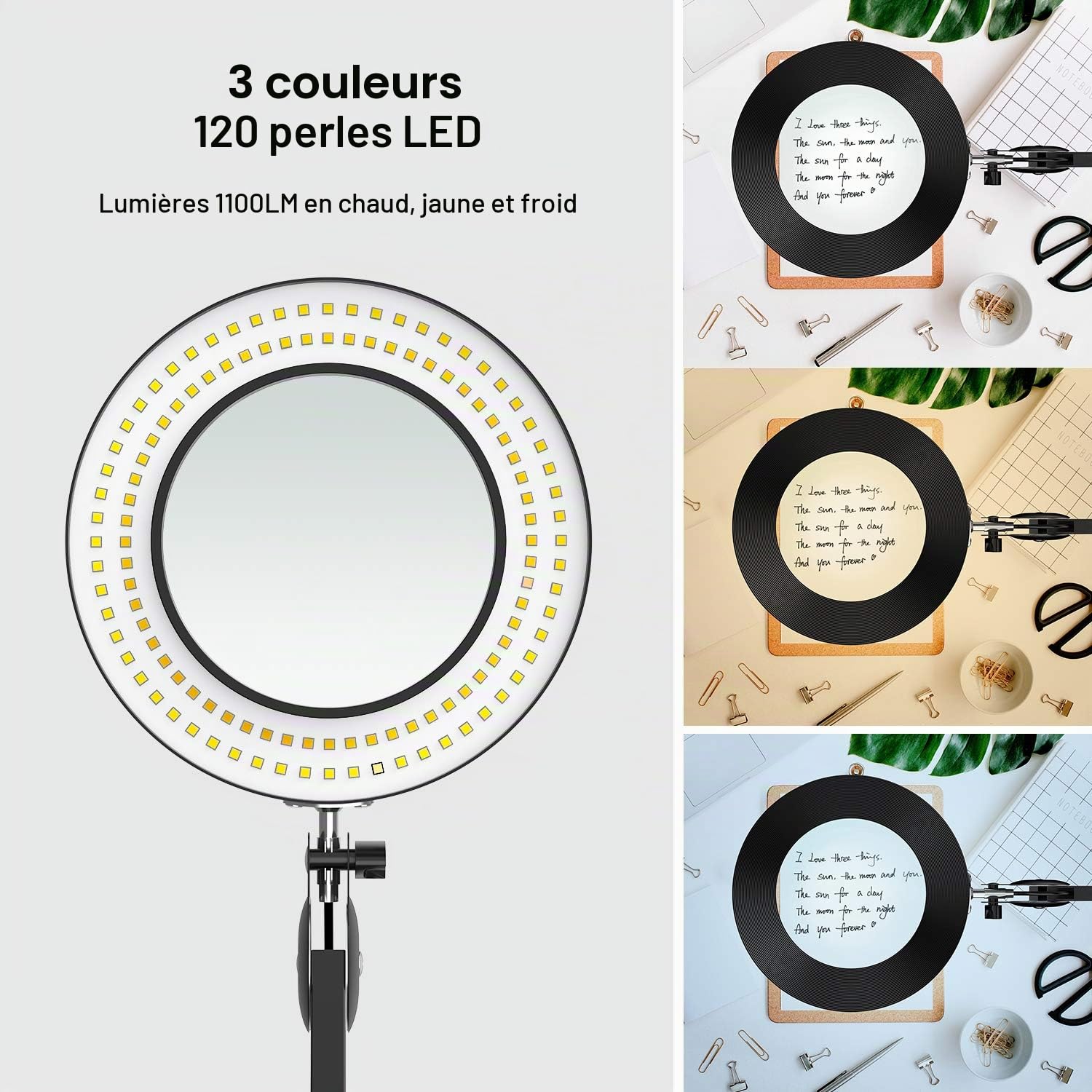 Grande Lampe Loupe LED à Ressorts Intégrés MAG20