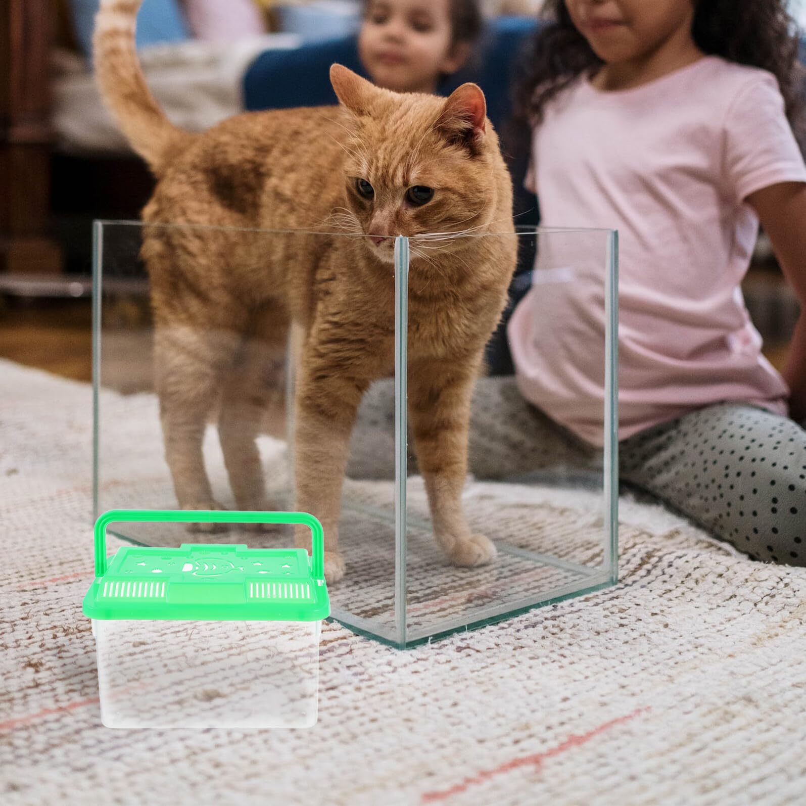 Générique Transporteur Portable pour Tortues et Poissons avec Poignée, Aquarium en Abs Transparent, Facile à Nettoyer Transporter pour Animaux de Compagnie