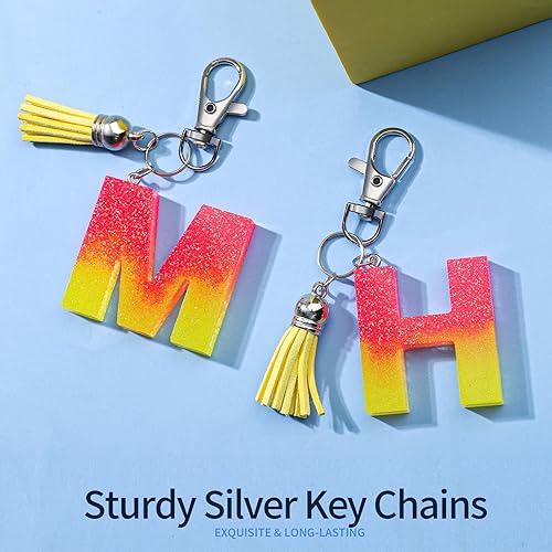 Vista 25 de LEOBRO 160 piezas de cierre de pinza de langosta con llaveros, 80 clips de llavero y 80 llaveros para manualidades, llaveros, joyas