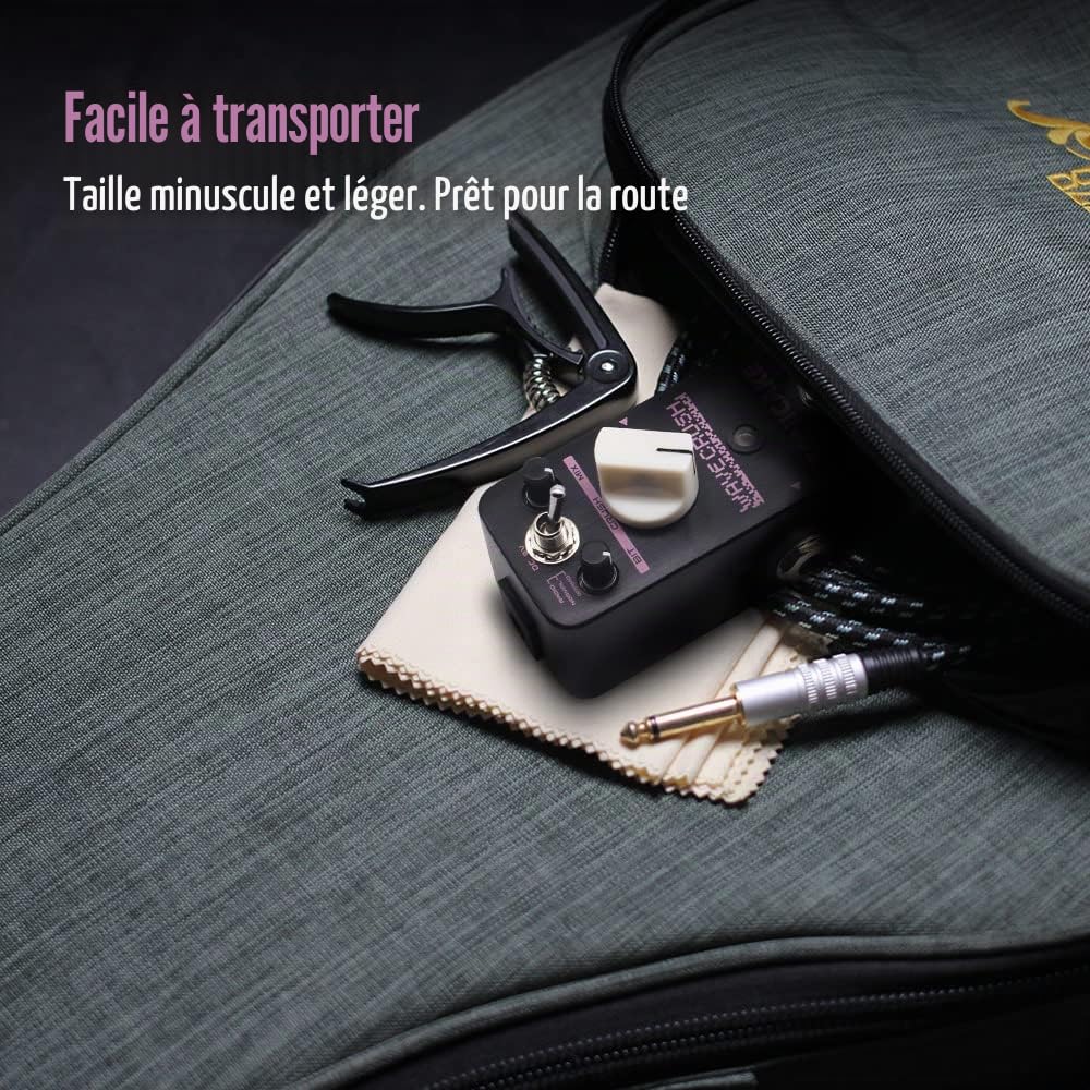 SONICAKE Pédale Bitcrusher Bitcrush Taux d'échantillonnage numérique Réducteur d'échantillon Pédale d'effets guitare Synthé Synthétiseur LoFi Wave Crush