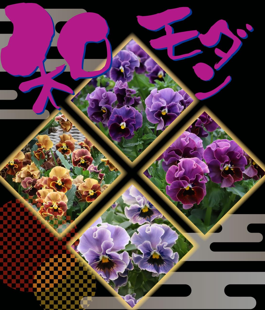 Amazon.co.jp: 種 花たね ビオラ フリル和モダンミックス 1袋（18粒