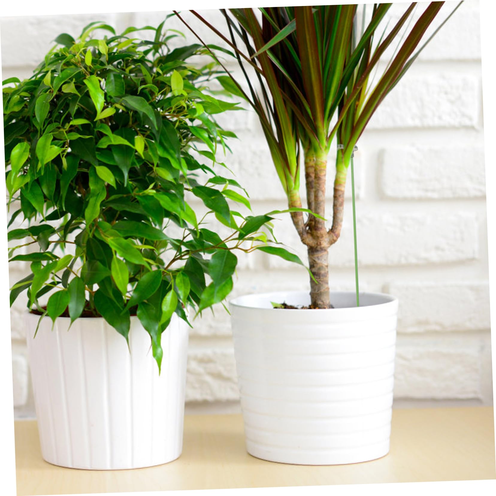 3 Sätze Pflanzenstützrahmen Pflanzenschleuder Pflanzenständer Stützring für Pflanzenkäfig Topfpflanzen Pflanzenkäfige eingetopft Gartenpfahl Stützpfähle für den Garten Plastik Grün