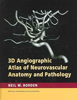 The Angiography Atlas 血管造影 NEW ATLAS FOR ANGIOGRAPHY 心血管造影アトラス - メルカリ