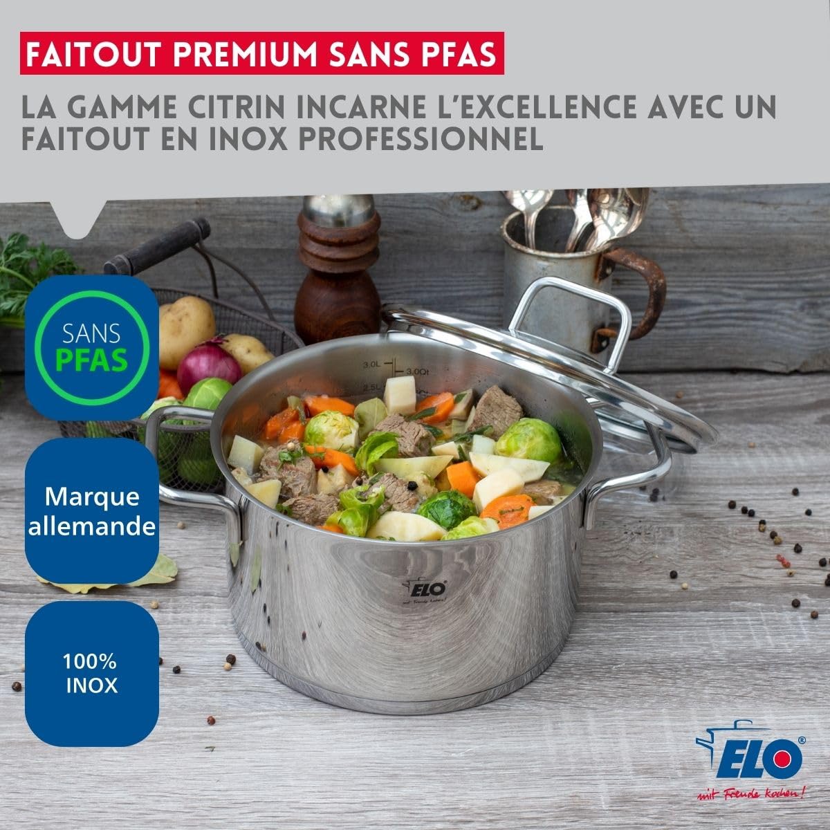 Elo Faitout inox 18/10 20 cm avec couvercle verre induction