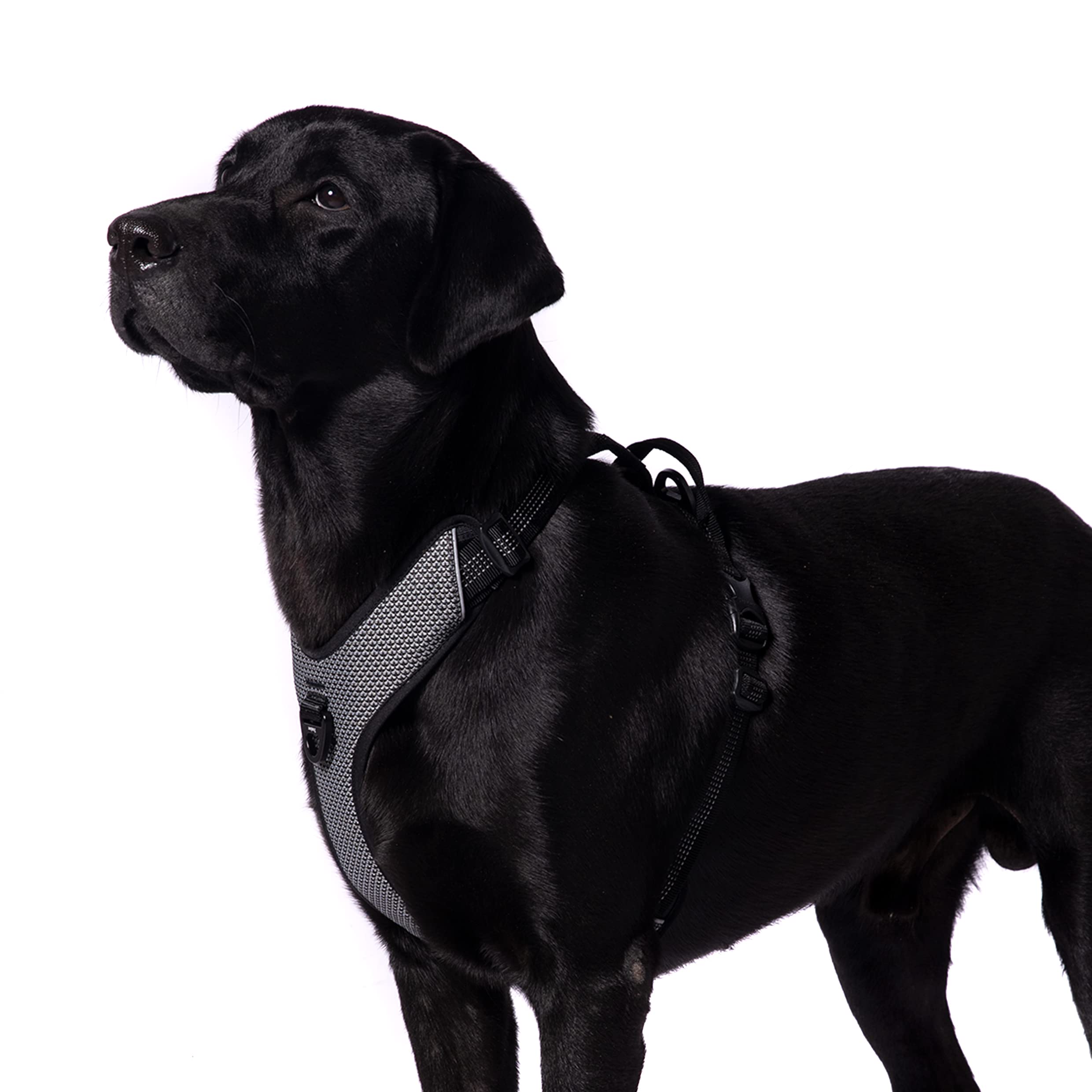 See full amazon price history chart for Barkbutler x TRUELOVE Super Reflective No-Pull Dog Harness|Patented Duraflex Buckles|3M Reflective|Aluminium Alloy D-Rings|High-Density Nylon|Sponge Padding |Low Friction Straps|Adjustable| Chest (68-82 cm) | Black Barkbutler x TRUELOVE Super Reflective No-Pull Dog Harness|Patented Duraflex Buckles|3M Reflective|Aluminium Alloy D-Rings|High-Density Nylon|Sponge Padding |Low Friction Straps|Adjustable| Chest (68-82 cm) | Black (B09RH6NYW6) Amazon Price History, Amazon Price Tracker