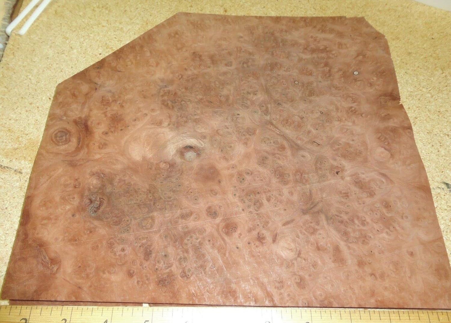 Carpathian Elm Burl Wood Veneer 11" x 10" raw no Backing 1/42" Thickness AAA