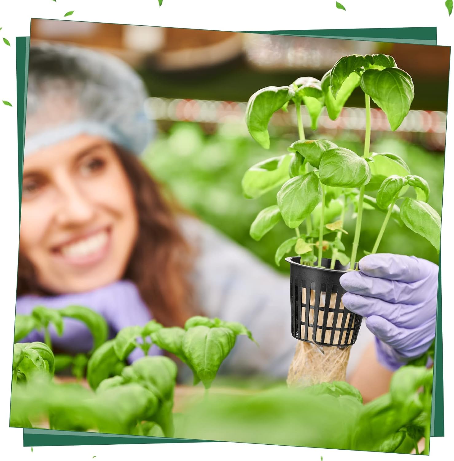 Yinder 200 Pack Net Pots 3 Inch Net Cups Thin Lip Hydroponics Supplies Garden Slotted Mesh Aquaponics Garden Slotted Mesh Pot Hydroponics