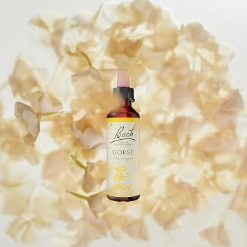 Bach Original Flower Remedies Gorse, Know Your Own Mind, Remain Hopeful, Emotional Wellness, Natural Flower Essence, 20ml