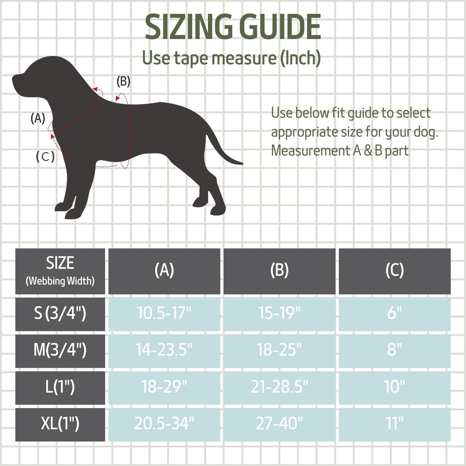 Woofy Woofy Casual H Dog Harness, No-Pull Pet Harness with 2 Leash Clips, Adjustable Soft Padded Dog Vest for Small Medium - Image 3