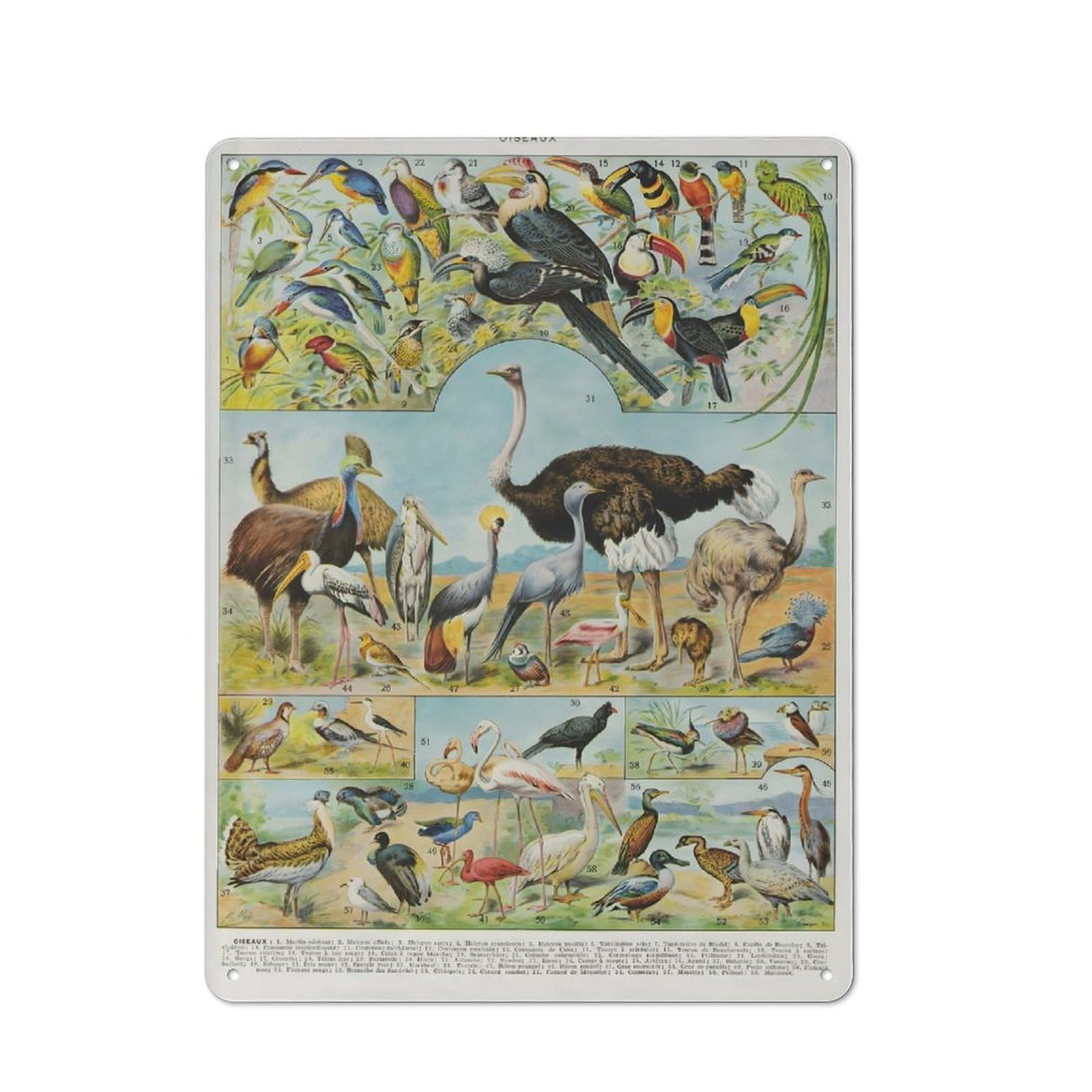 Cosy OISEAUX Metal Plaque 40x30cm, Kitchen Wall Decor for Kitchen, Cafe, Pantry Or Dining Room