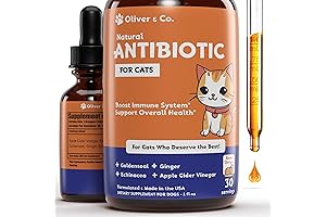 All-Natural Cat Antibiotics: The Best Immune System Booster for Feline Health