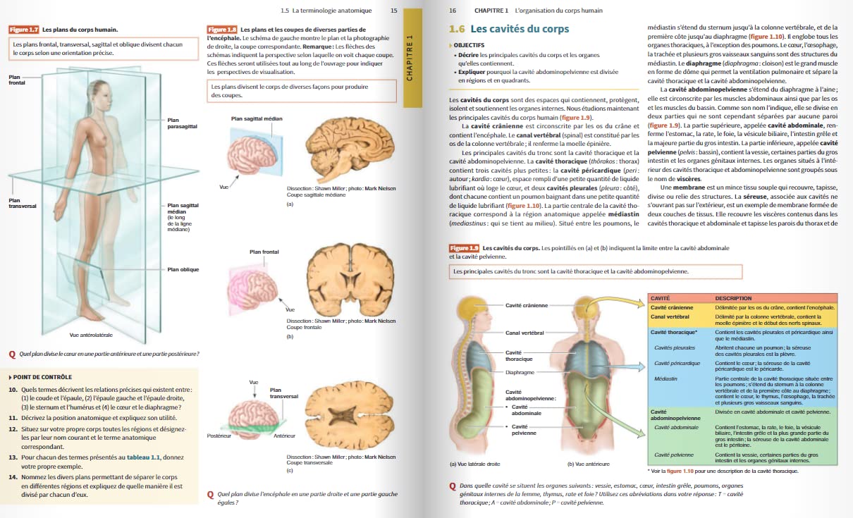 Manuel d'anatomie et de physiologie humaines