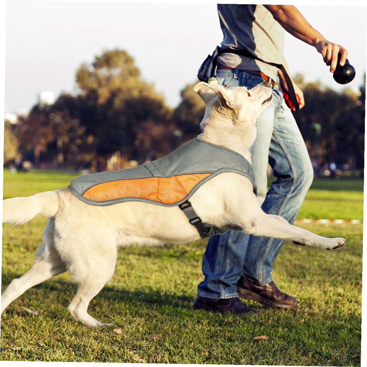 POPETPOP 1 veste de refroidissement réglable anti-ultraviolet réfléchissante respirante pour animal domestique harnais pour chien chiot