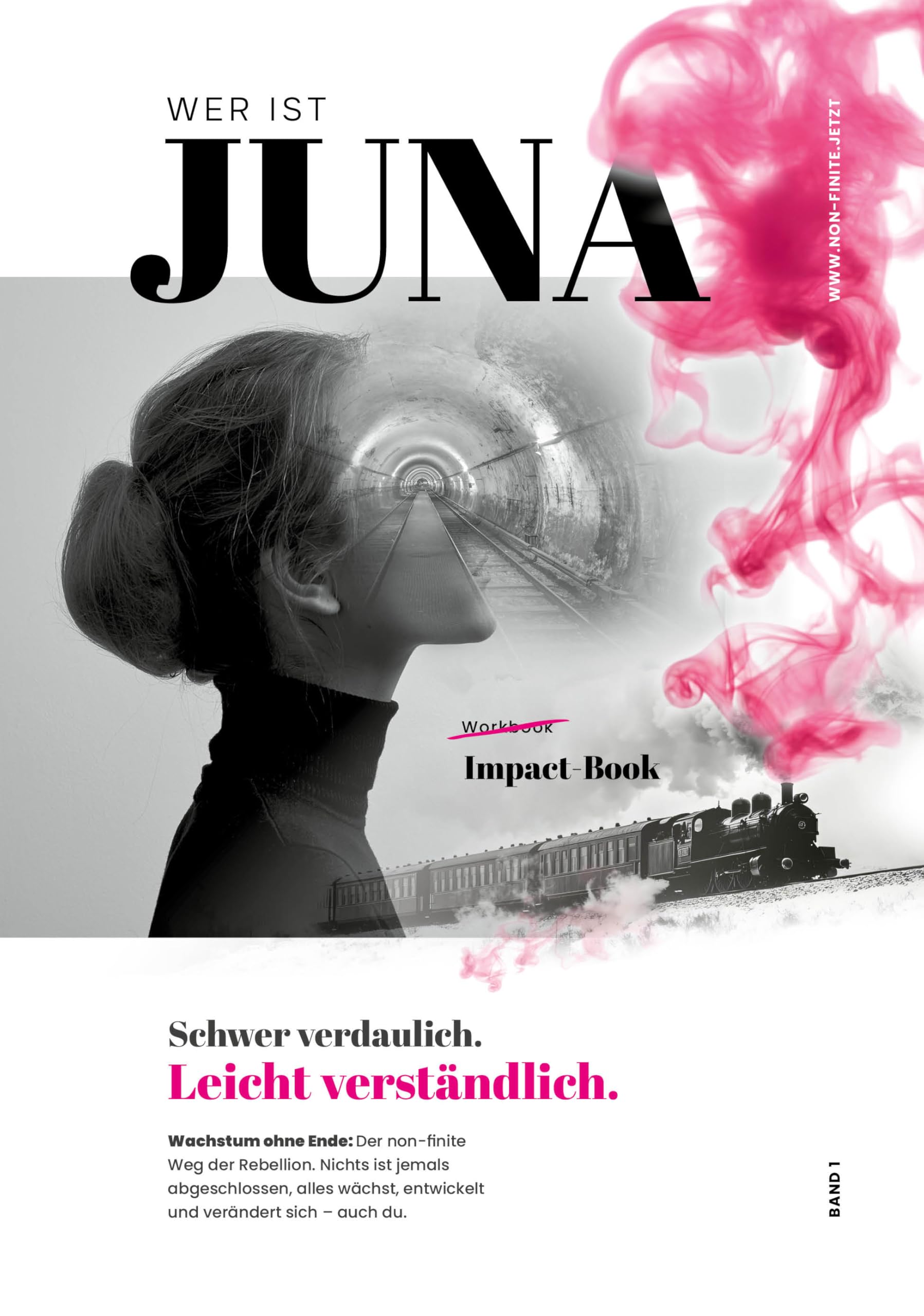 Wer ist Juna? Band 1: Impact Book. Schwer verdaulich. Leicht verständlich