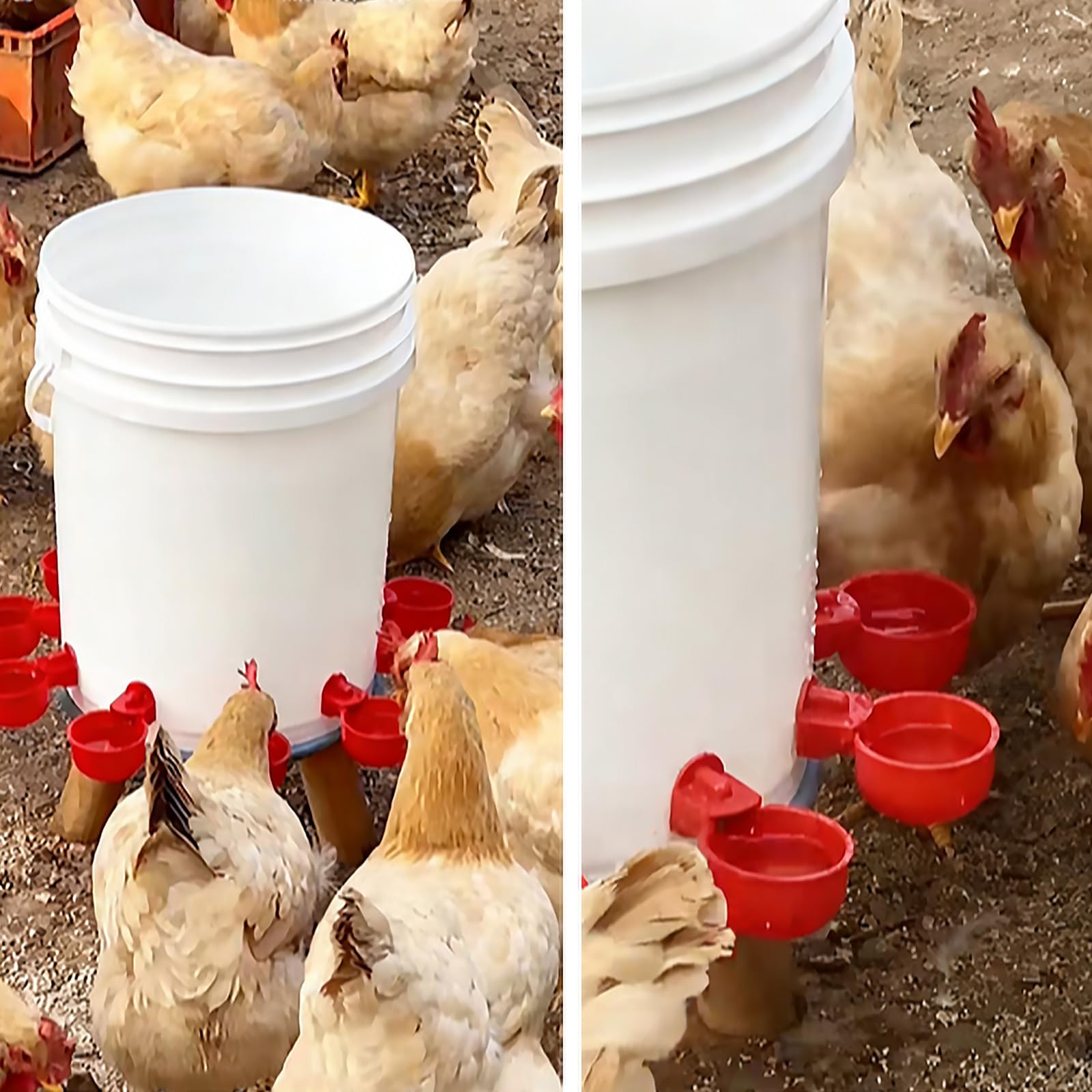 Juego de Bebederos Automáticos para Aves de Corral - Set de 6 Dispensadores de Agua con Taladro Incluido - Sistema de Suministro Automático de Agua por Gravedad para Pollos, Patos, Pavos, Gansos, Loro