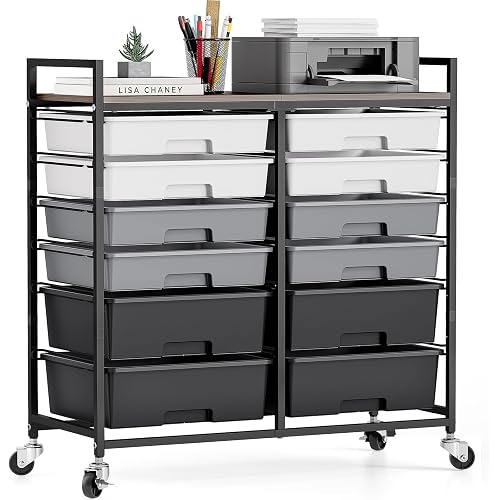 TOOLF 12 Drawers Rolling Storage Cart with Wooden Top for Classroom,Grey