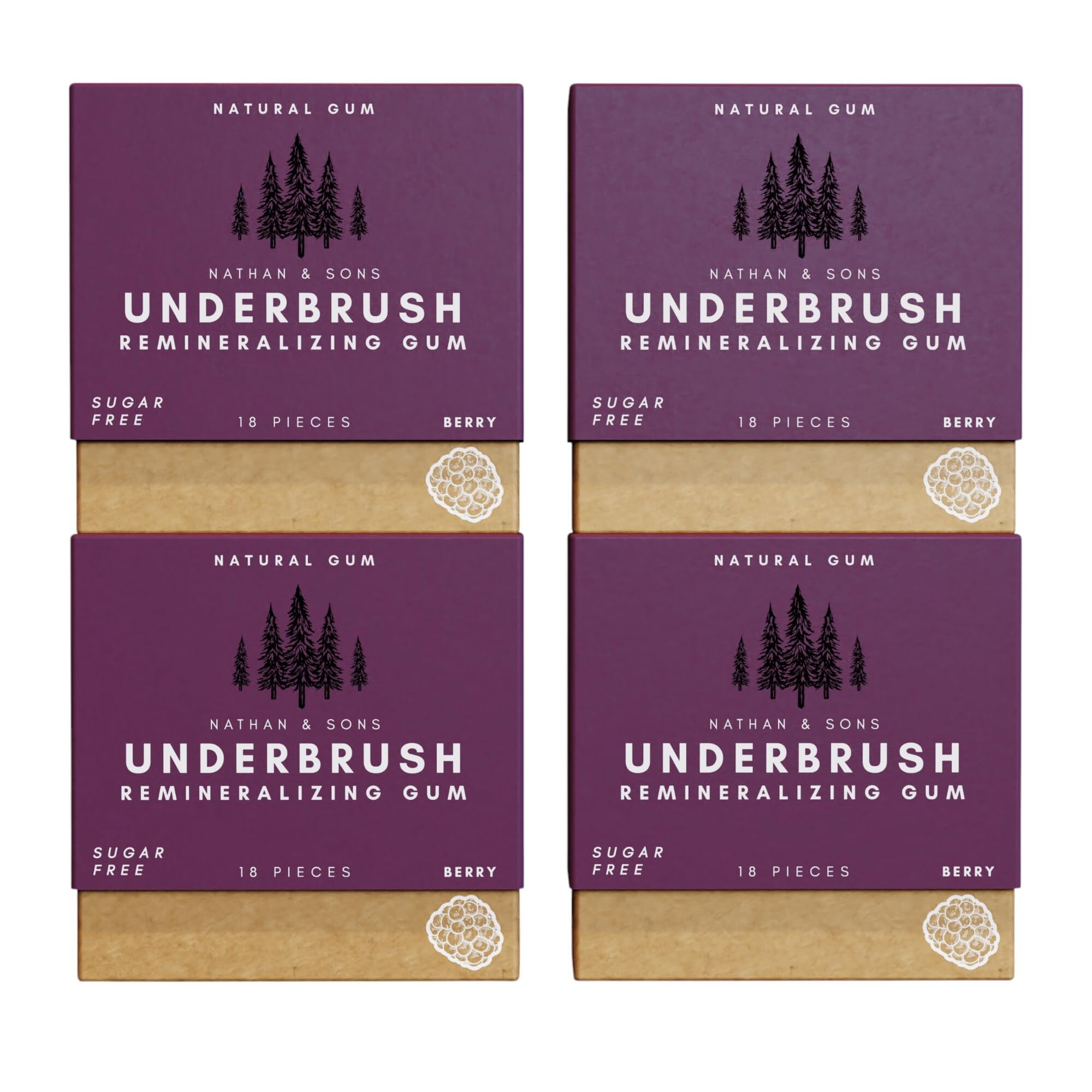 Underbrush Cinna-Mastic Remineralizing Gum, Sugar Free Xylitol Gum with Hydroxyapatite, Supports Fresh Breath and Oral Health, Tree Sap Base, Gluten