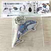 レア　名古屋港水族館限定　シャチ　キーホルダー 515NwbeKbfL._UF350,350_QL50_.jpg