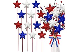 Patriotic Star Picks: Celebrate the Nation's Spirit